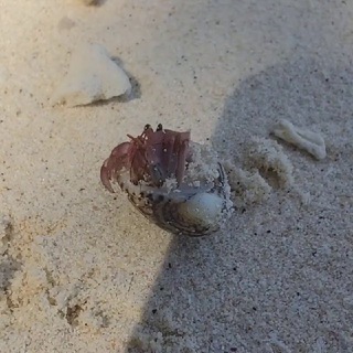 Phuket Island Live 🇹🇭