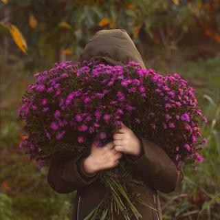 Изумрудный сад