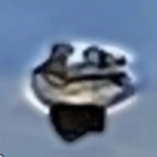 Жабы И Точка🇷🇺