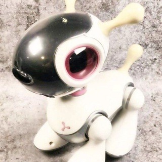 jenya.3gр 🪷 ГЛУБОКИЙ АНАЛИЗ РЕАЛЬНОСТИ