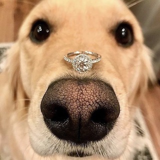 Бриллианты в Трусах