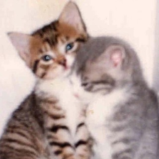 юнми тоталитаризм