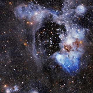 Чёрная неизвестность