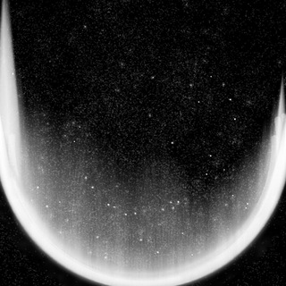 Информация жизни