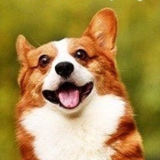 Шутка и юмора