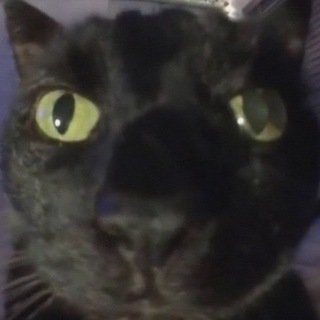 ооо мемевое