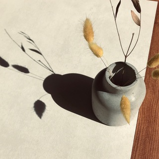 Фотограф Евгения Прокофьева