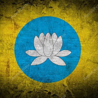 Джунгарские новости