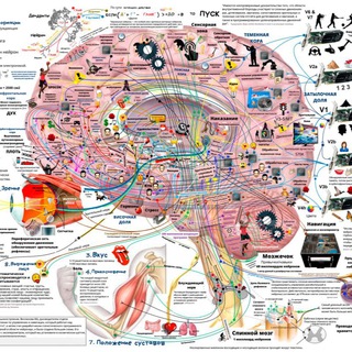 Жупара Букина Jupara_Bukina