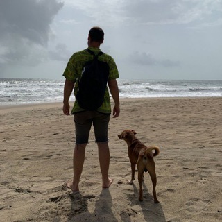 Журнал путешественника