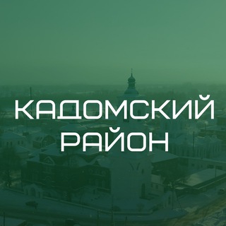 Кадомский район