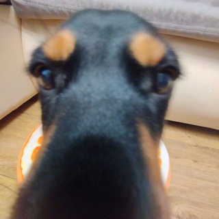 Второй канал тукана🔥