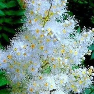 🍃🌿🌱ЗДОРОВАЯ СЕМЬЯ 🍀🌿☘️