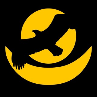 Жизнь оператора БПЛА 🌏