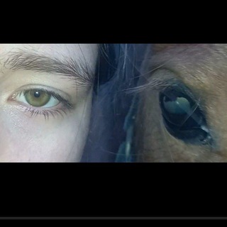 𝕜𝕒𝕣𝕒𝕔𝕙𝕒𝕚.𝕒𝕥𝕝𝕒💚