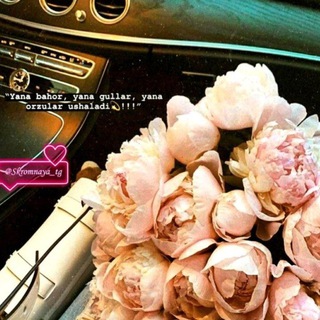 Видео со словами