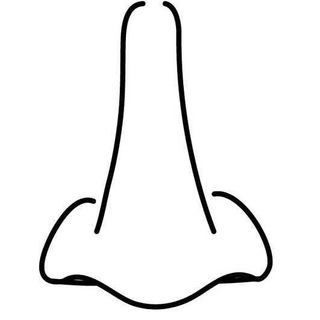 NOSE CARICATURE