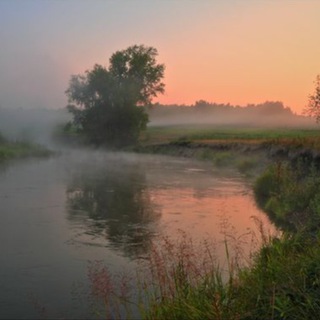Картина Мира