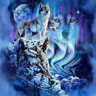 Картиночки😍