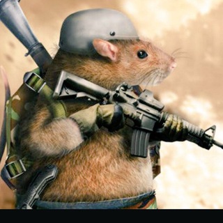 Хомяк о войне Z - СВО