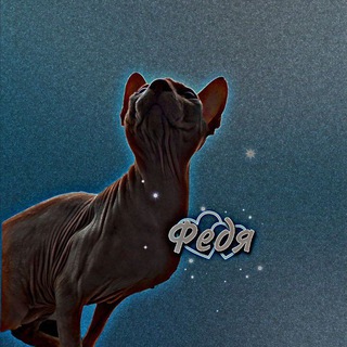 _𝓕𝓮𝓭𝓸𝓹.𝓯𝓫._