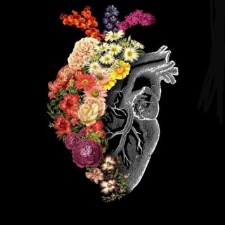 Кавказские песни❤️