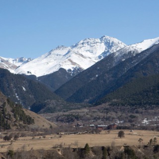 КАВКАЗ-ИНФО