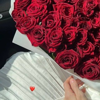 🙂𝔏𝔬𝔳𝔦 𝔪𝔬𝔪𝔢𝔫𝔱𝛾🙂