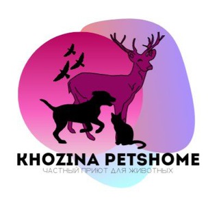 khozina_petshome