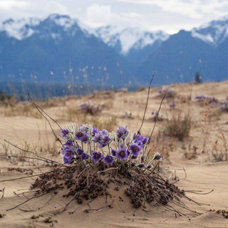 Running Heroes Russia (резерв)