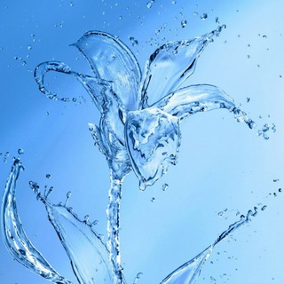 𝕋𝕙𝕖 𝕄𝕒𝕘𝕚𝕔 𝕠𝕗 𝕃𝕠𝕧𝕖 ✨