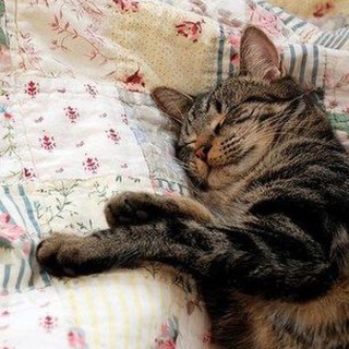 .｡.:*･゜kitty go.｡.:*･゜ﾟ･･* ♡