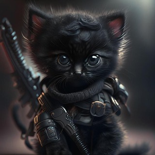 Котейка сказал 😼