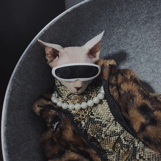 Гробница Клерапатры