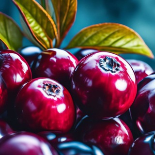 Клюква - Находки, обзоры, скидки WB, Ozon