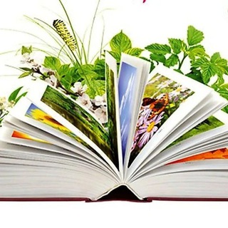 Манушкинская сельская библиотека МБУК 