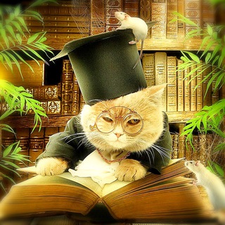 Книгaмоделизм