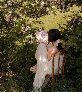 Ещё главу и спать | Литература