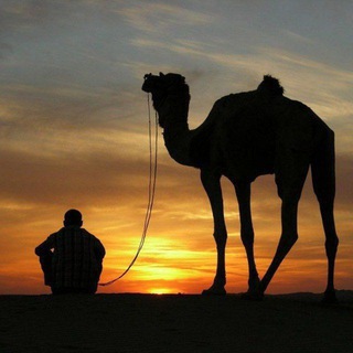 Египет глазами Студента 🇪🇬