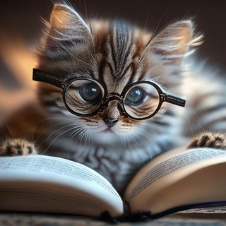 Книги в твоем телефоне 📚