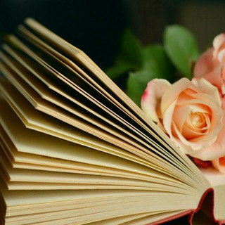 Книжный альманах📚