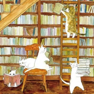 Книжные Подборки