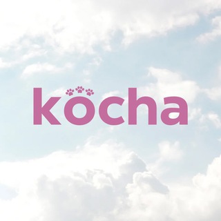 kocha🩷