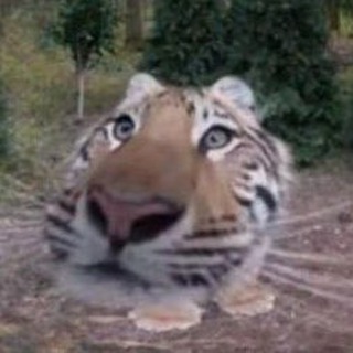 ˗ˏˋстасик ананасик ˎˊ˗