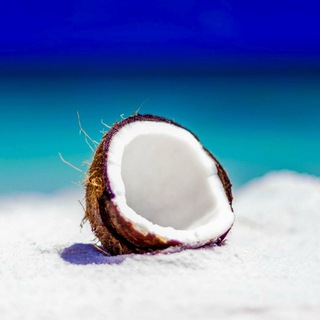 🥥 Kokos Studio 🥥