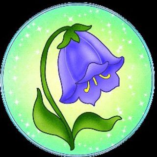 МБДОУ 2 Колокольчик с. Троицкое