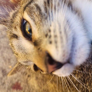 💸Личный блог люксика💸