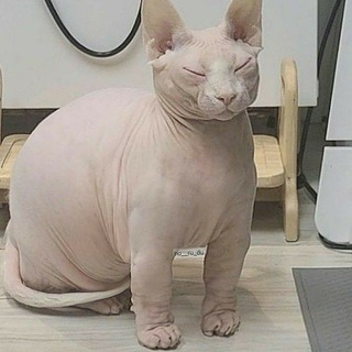 В тихом омуте клоуна🎃