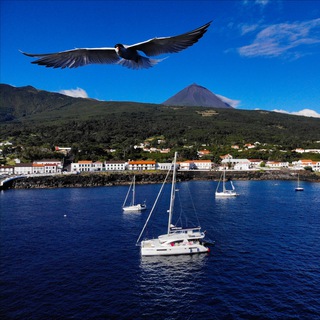 Катамаран Mana Mana