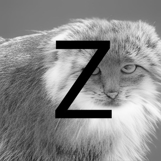 I Горшечник Манулов I Z